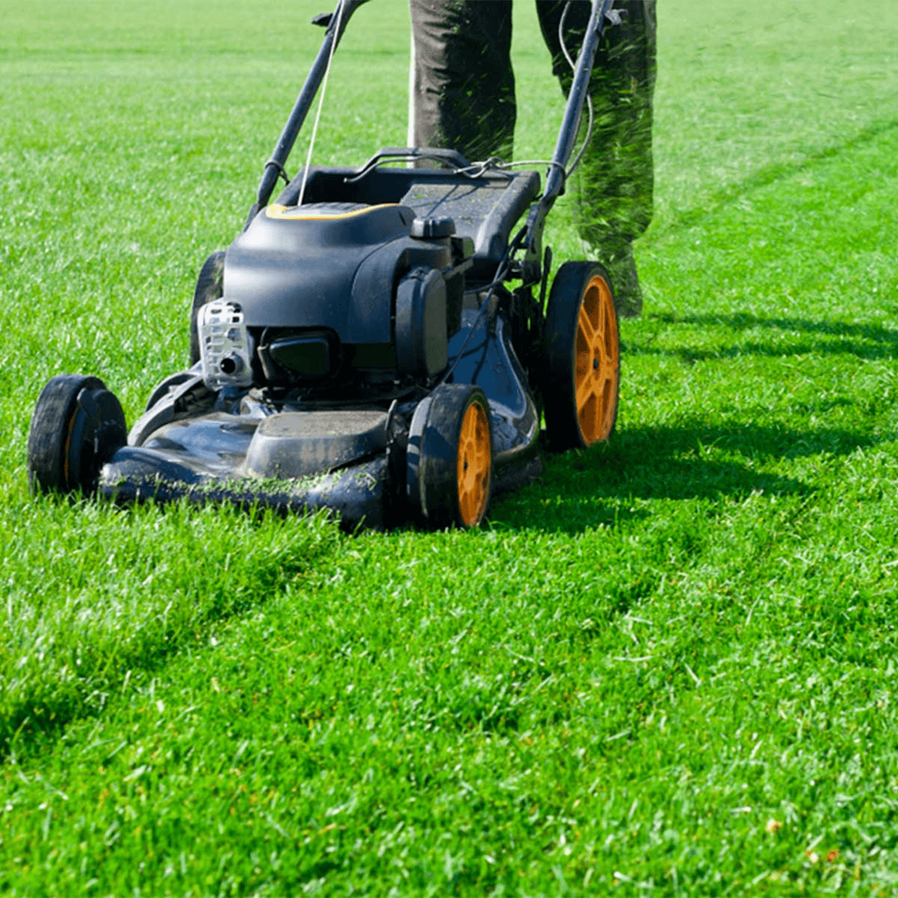 Worx WG779E.2 40V Cordless Lawn Mower | Worx by KHM Megatools Corp.