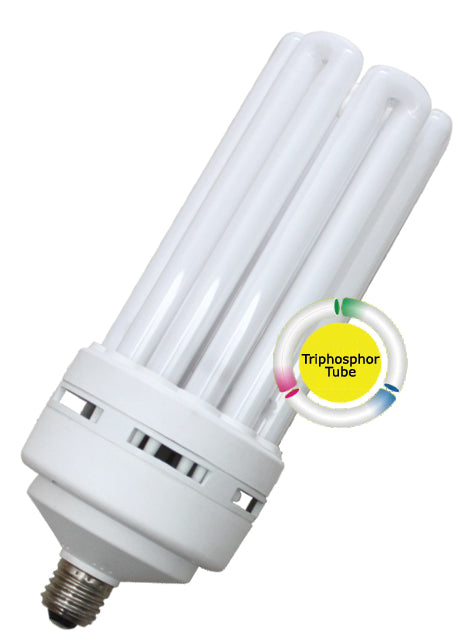Omni 6U Lamp Light | Omni by KHM Megatools Corp.